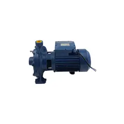 پمپ آب 2 اسب رایان