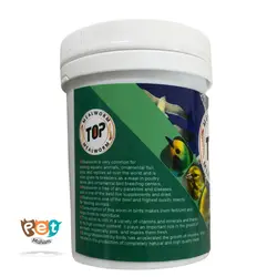 میل ورم تاپ