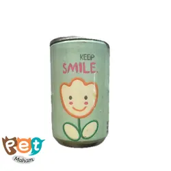 دستمال مرطوب پت