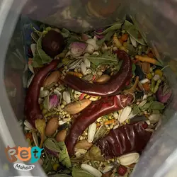 خوراک طوطی خورشیدی کوکو همراه با جایزه