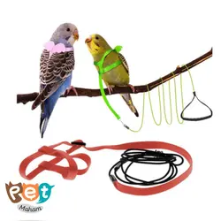 جلیقه پرواز پرنده