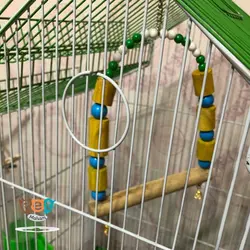 اسباب بازی پرنده مدل تاب بازی
