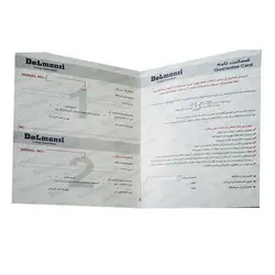 چرخ گوشت دلمونتی dl340