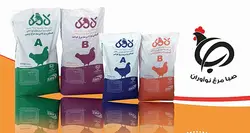 صبا مرغ نواوران | بازار آسان دام