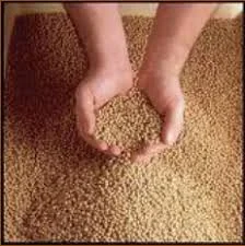 کنسانتره 5%تخمگذار کلهر دانه بندر امام زود بارشو | بازار آسان دام