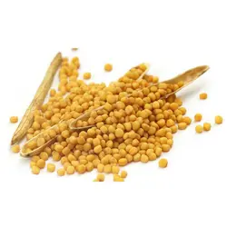 مشخصات، قیمت روز و خرید فیبر سویا وارداتی YUXIN | آی فودز