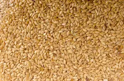 مشخصات، قیمت روز و خرید کنجد سفید وارداتی برند Karoël Spice | آی فودز