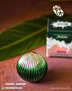 کرم شیر و مروارید صدف دریا