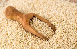 کنجد 50گرم سبزنام.12ع