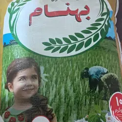 برنج عنبر بهنام شعيبيه