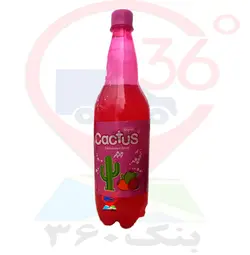 كاكتوس 1 ل زمزم. 6ع