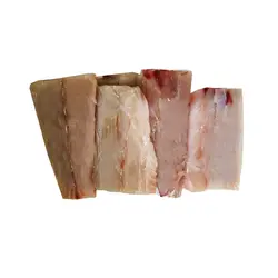 فیله ماهی سکن