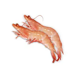 میگو سایز 21-25 کامل