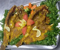 ماهی هامور شکم خالی