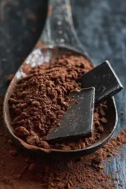 پودر کاکائو هلندی دارک