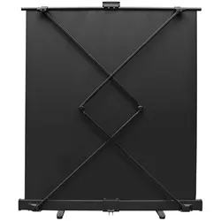 قیمت و خرید پرده نمایش پرتابل پروجکتا 100 اینچ - عصر پروژکتور