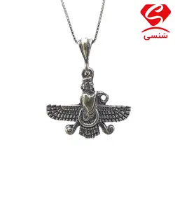 فروهر نقره کد02