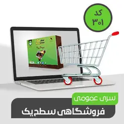 فروشگاهی عمومی سطح یک (کد301) -نرم افزار حسابداری فروشگاهی سطح یک عمومی