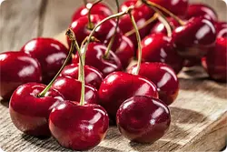 نهال گلدانی آلبالو اسرائیلی