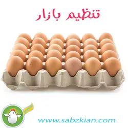 تخم مرغ تنظیم بازاری 30 عددی شانه ای قهوه ای