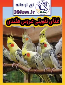 غذای تقویتی عروس هلندی(تقویت کننده) » آی آر دانه
