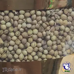 گشنیز (تخم گشنیز - بذر گشنیز) » آی آر دانه