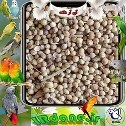 گشنیز (تخم گشنیز - بذر گشنیز) » آی آر دانه