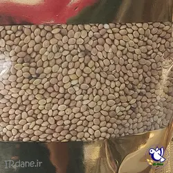 ارزن درشت » آی آر دانه