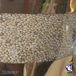 ارزن ایرانی (سایز متوسط)(ارزن تازه) » آی آر دانه