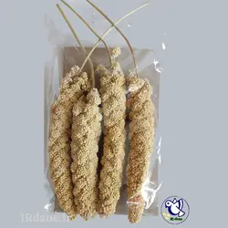 ارزن خوشه ای ( خوشه ارزن ) » آی آر دانه