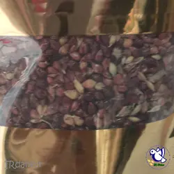 دانه جارو » آی آر دانه