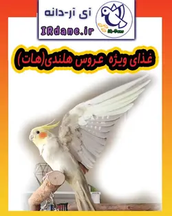 غذای ویژه عروس هلندی(مست کننده، هات) » آی آر دانه