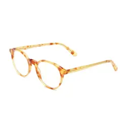 عینک مخصوص کامپیوتر بارنر Barner Williamsburg