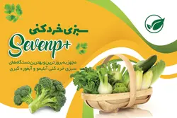 کارت ویزیت سبزی خردکنی