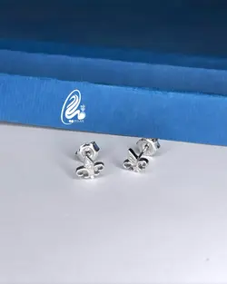گوشواره میخی نقره کد Q5452