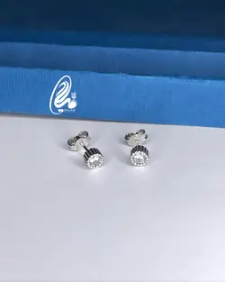 گوشواره میخی نقره کد Q7457