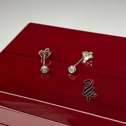 گوشواره نقره میخی کد Q7443