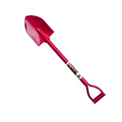 بیل آفرودی ریشه زن کوچک