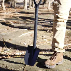 بیل آفرودی ریشه زن کوچک