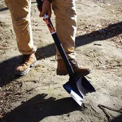 بیل آفرودی ریشه زن کوچک