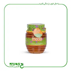 عسل آویشن ارگانیک مدا 500 گرم