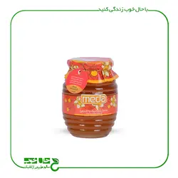 عسل کنار ارگانیک مدا 500 گرم