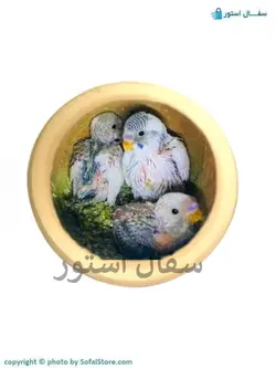 قیمت و خرید لانه سفالی مرغ عشق