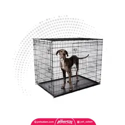 قفس تاشو