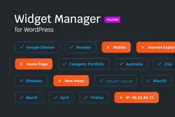 افزونه Widget manager for WordPress - افزونه مدیریت ویجت