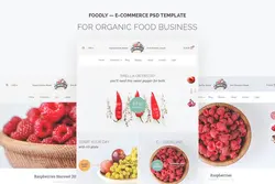 طرح لایه باز تمپلیت فروشگاهی Foodly — Organic Food Store PSD Template - افزونه ها | شبکه خرید و فروش منابع دیجیتالی
