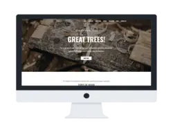 پوسته فروشگاهی و تجاری WS Wood - افزونه ها | شبکه خرید و فروش منابع دیجیتالی