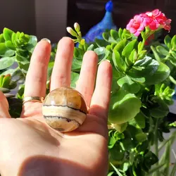 گوی آرامش سنگ مرمر (پک دو عددی) به انتخاب مشتری | هدیه تولد | جهیزیه عروس | کادویی | ظروف سنگی آقای سنگی | ظروف آنتیک و کلکسیونی | مدیتیشن | فنگشویی | گوی سنگی