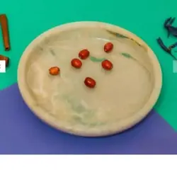 سینی سنگی یا بشقاب سنگی لبه دار | ظروف سنگی آقای سنگی | هدیه تولد | جهیزیه عروس | کادویی | ظروف آنتیک و کلکسیونی