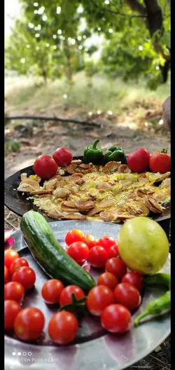 ساج چدنی خالص 33 سانتی | ساج نان پزی چدن خالص بدون روکش شیمیایی (ساچ روسی ظرف چدنی) ظروف کوهنوردی و طبیعتگردی و ظروف سفری | ساج ووک چدنی تابه ووک چدنی . ماهیتابه چدنی . قابلمه چدنی | ساج چدنی | ساج سفری | ظروف چدنی اصل | ساج چدن خالص
